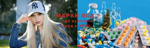 прущие крисы Балабаново