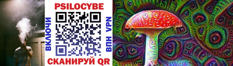 купить наркотик  мега как войти  Галлюциногенные грибы MAGIC MUSHROOMS  Себеж 